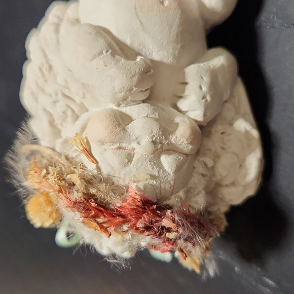 Dreamsicles laying down - Picture 6 of 11